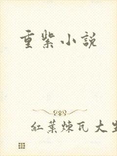 重紫小说