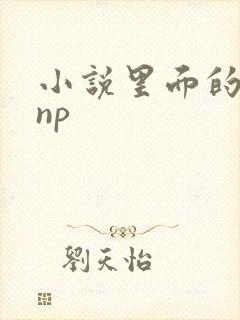 小说里面的高hnp封面