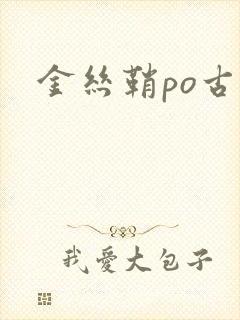 金丝鞘po古言封面