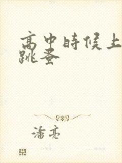 高中时候上课带跳蚤封面