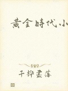黄金时代小说