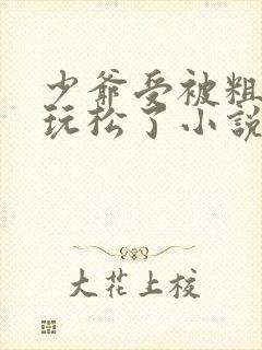 少爷受被粗汉H玩松了小说