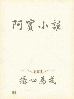 阿宾小说