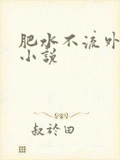 肥水不流外人田小说