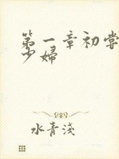 第一章初尝极品少妇