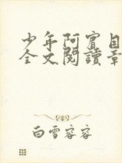 少年阿宾目录及全文阅读章节封面