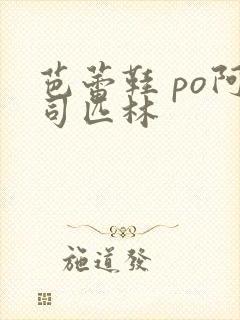 芭蕾鞋 po阿司匹林