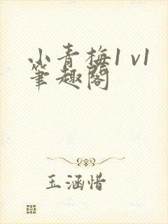 小青梅1 v1笔趣阁