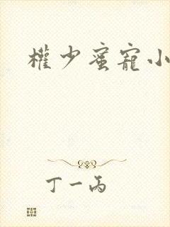 权少蜜宠小娇妻