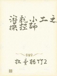 游戏小工之元素操控师封面