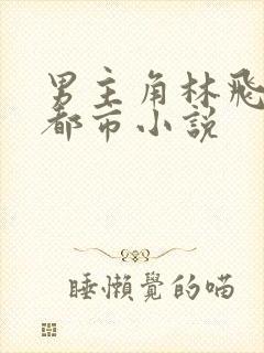 男主角林飞扬的都市小说
