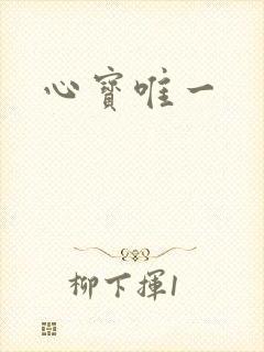 心宝唯一