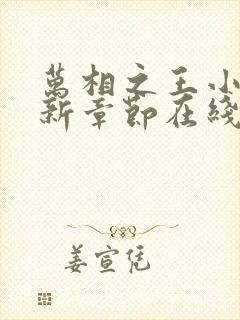 万相之王小说最新章节在线