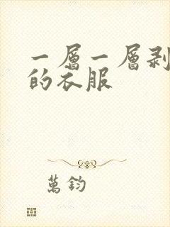 一层一层剥掉你的衣服