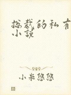 总裁的私有宝贝小说封面