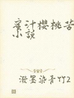 蜜汁樱桃苦咖啡小说