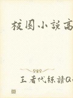 校园小说高h封面