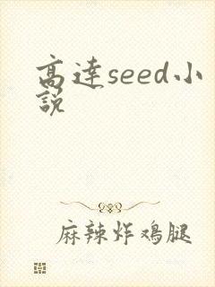 高达seed小说