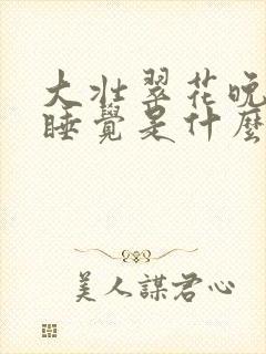 大壮翠花晚上不睡觉是什么电视剧封面