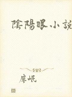 阴阳眼小说封面