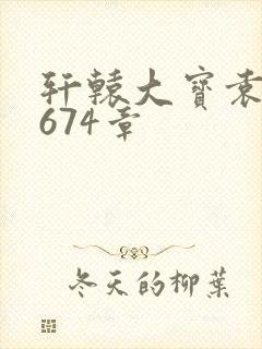 轩辕大宝袁雪妃674章