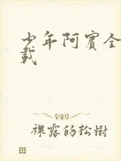 少年阿宾全集下载封面