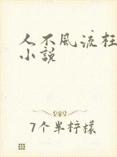 人不风流枉少年小说