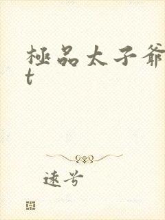 极品太子爷txt封面