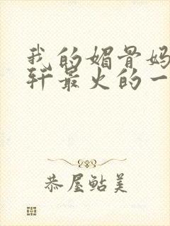 我的媚骨妈妈林轩最火的一句