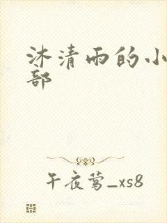 沐清雨的小说全部