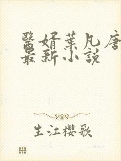 医婿叶凡唐若雪最新小说