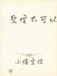 圣僧不可以