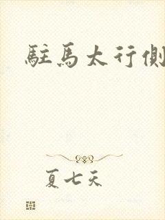 驻马太行侧封面