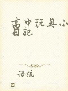 高中玩具小诗的日记封面