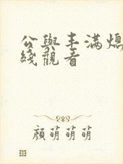 公与丰满熄4在线观看封面