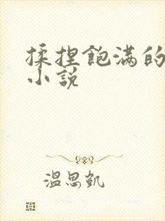 揉捏饱满的乳峰小说封面