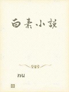 白素小说