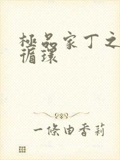 极品家丁之因果循环