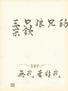 三只狼兄的宠妻宋钦