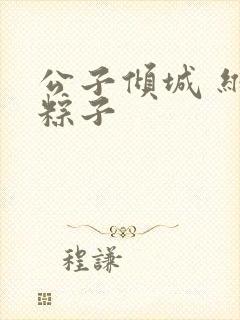 公子倾城 维和粽子