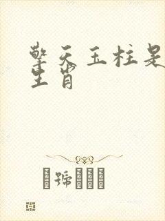 擎天玉柱是什么生肖封面