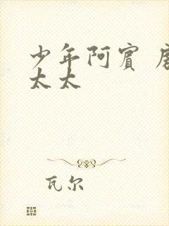 少年阿宾 房东太太