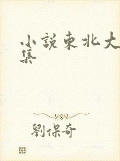 小说东北大炕全集