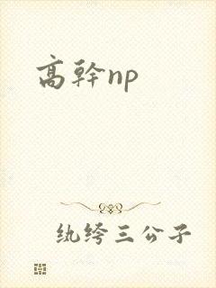 高干np封面