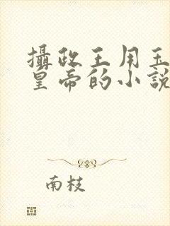 摄政王用玉髓整皇帝的小说