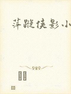 萍踪侠影小说封面