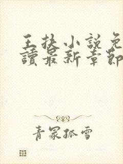 王扶小说免费阅读最新章节无弹窗