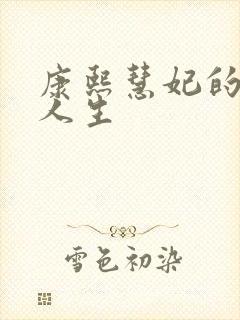 康熙慧妃的躺赢人生封面