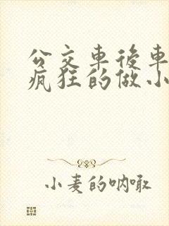 公交车后车座的疯狂的做小封面