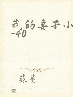我的妻子小谨1-40封面
